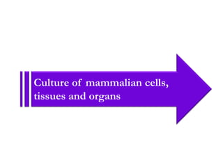 History of animal cell culture, cell final