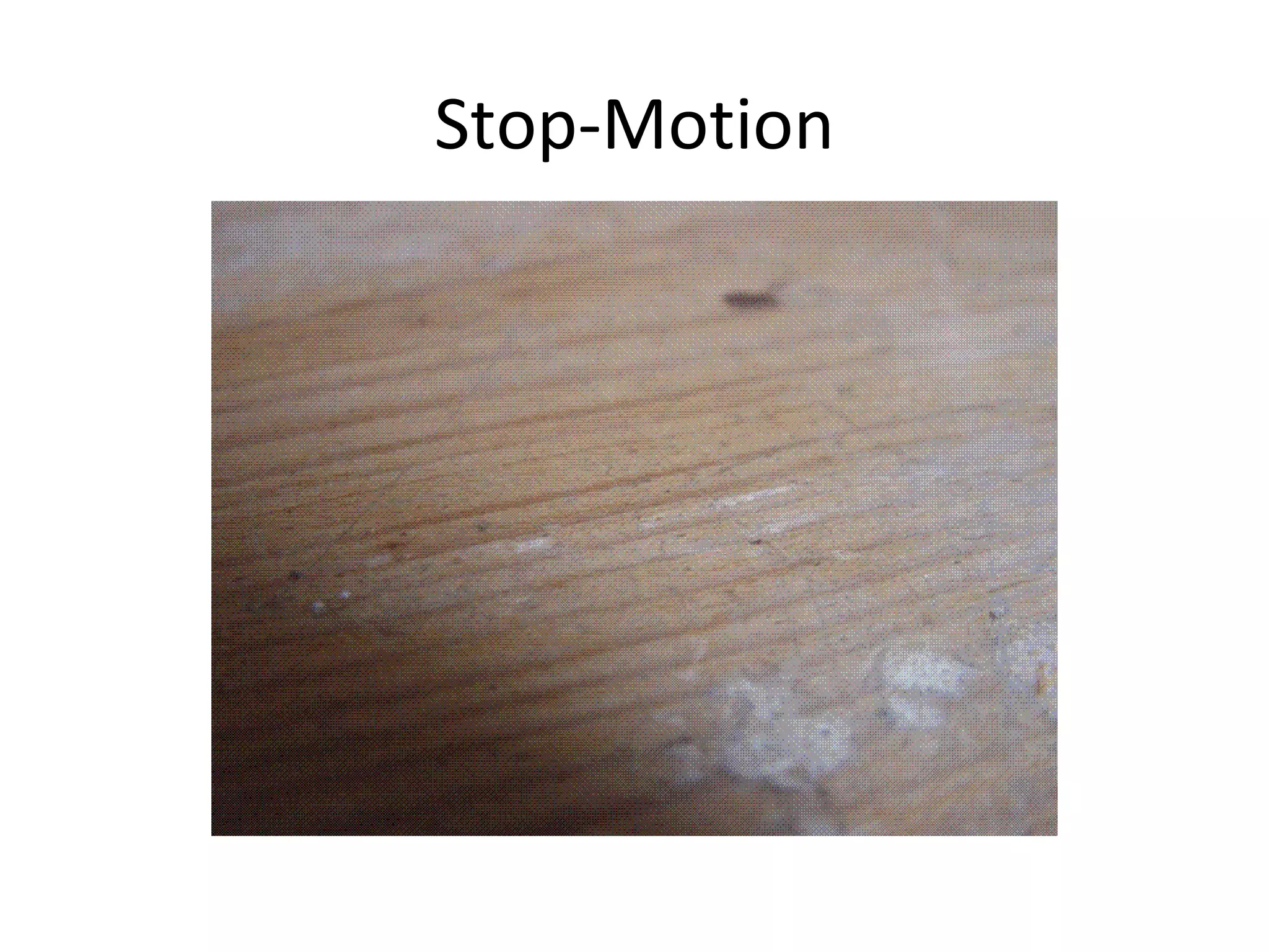 Stop-Motion
 