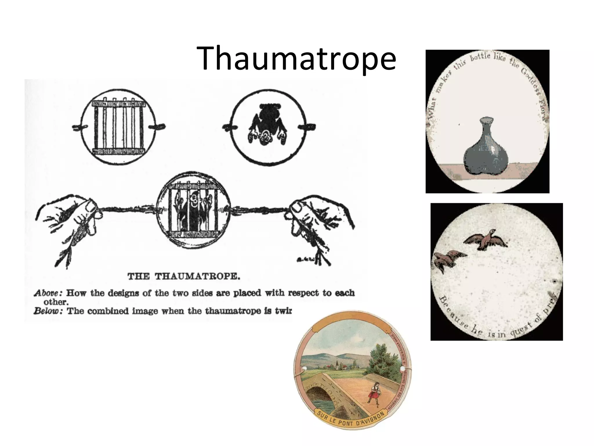 Thaumatrope
 