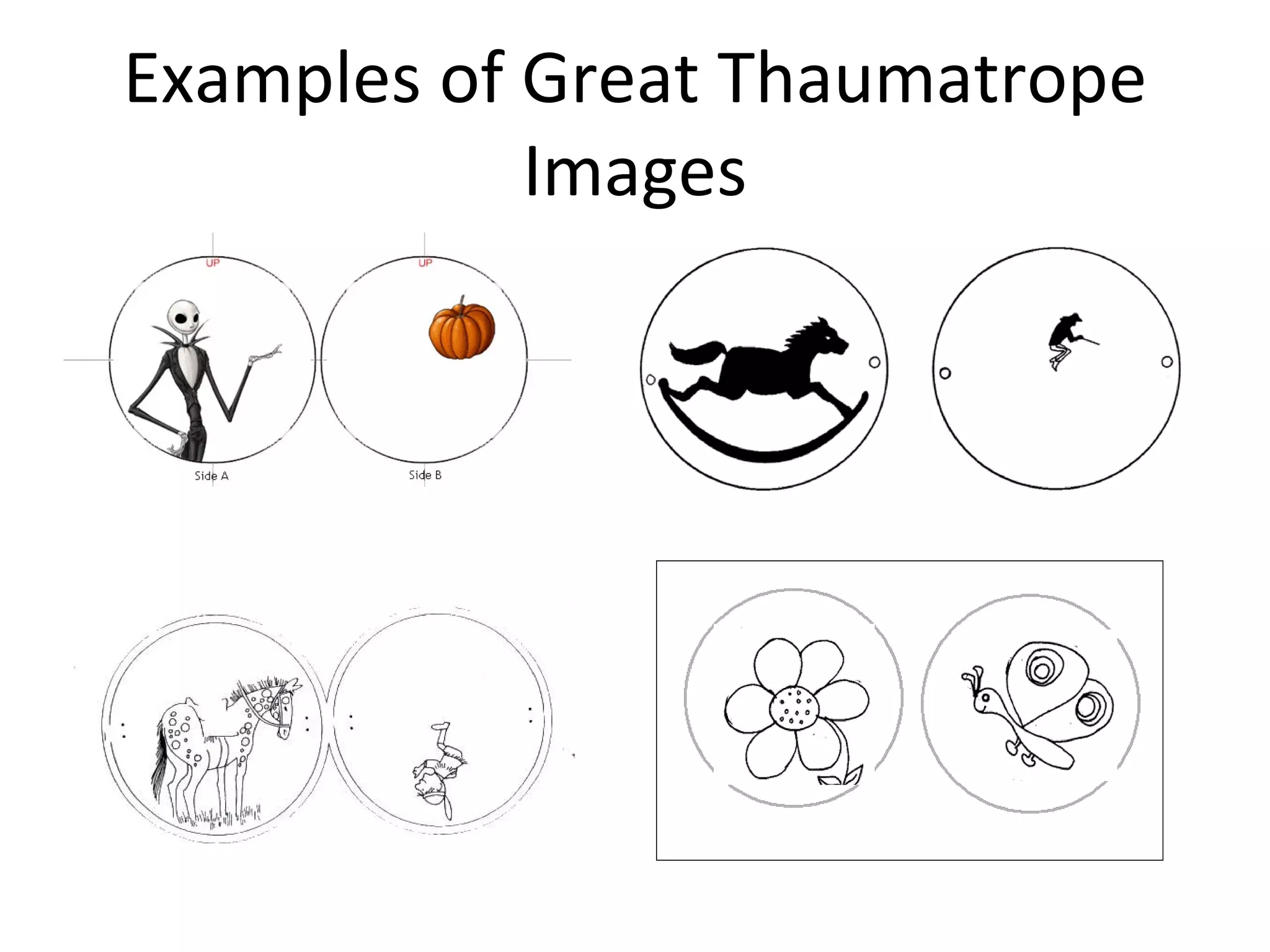Examples of Great Thaumatrope
            Images
 