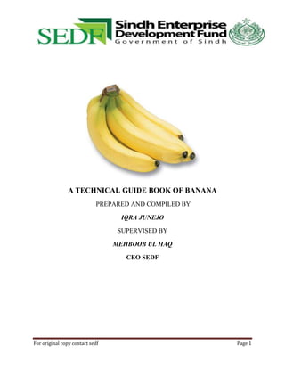 A TECHNICAL GUIDE BOOK OF BANANA
PREPARED AND COMPILED BY
IQRA JUNEJO
SUPERVISED BY
MEHBOOB UL HAQ
CEO SEDF

For original copy contact sedf

Page 1

 