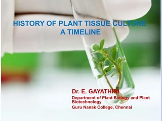 HISTORY OF PLANT TISSUE CULTURE
A TIMELINE
Dr. E. GAYATHIRI
Department of Plant Biology and Plant
Biotechnology
Guru Nanak College, Chennai
 
