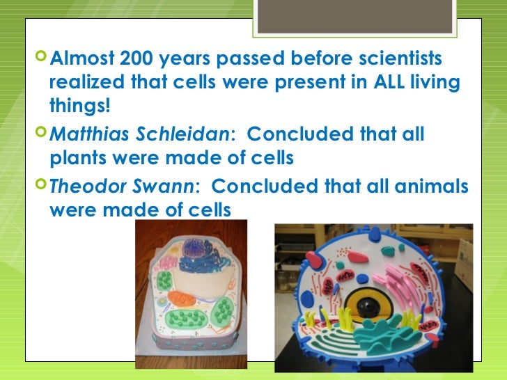 History of cells