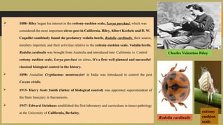 Ed Riley Insect Collection HISTORY OF CLASSICAL BIOLOGICAL CONTROL Prateek Parida ppt1.pptx