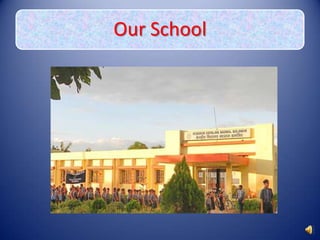 Our School
 