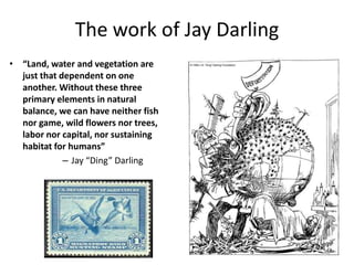 The work of Jay Darling
• “Land, water and vegetation are
  just that dependent on one
  another. Without these three
  primary elements in natural
  balance, we can have neither fish
  nor game, wild flowers nor trees,
  labor nor capital, nor sustaining
  habitat for humans”
             – Jay “Ding” Darling
 