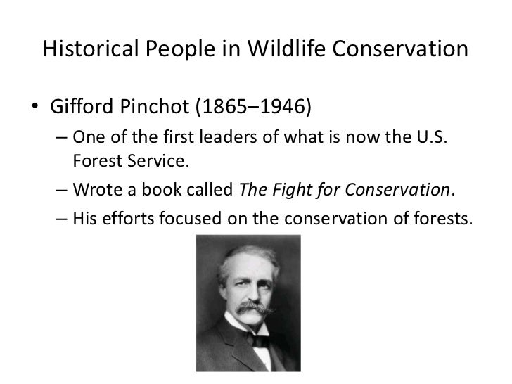 History Of Conservation