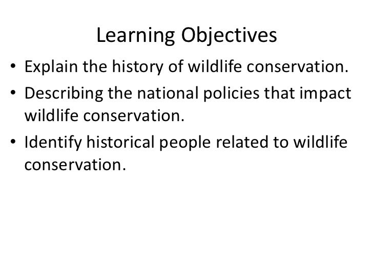 👍 Objectives of wildlife conservation. Aim and Objectives of