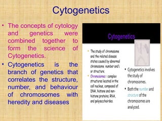 History of Cytogenetics including dates.pptx