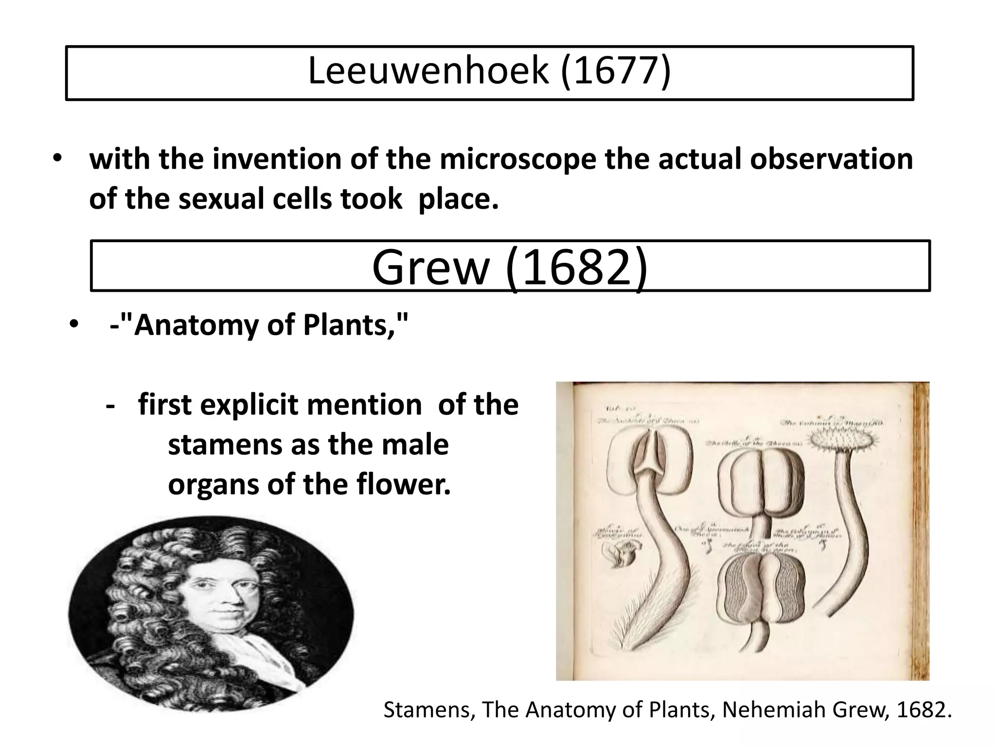 History of embryology in plants | PPTX