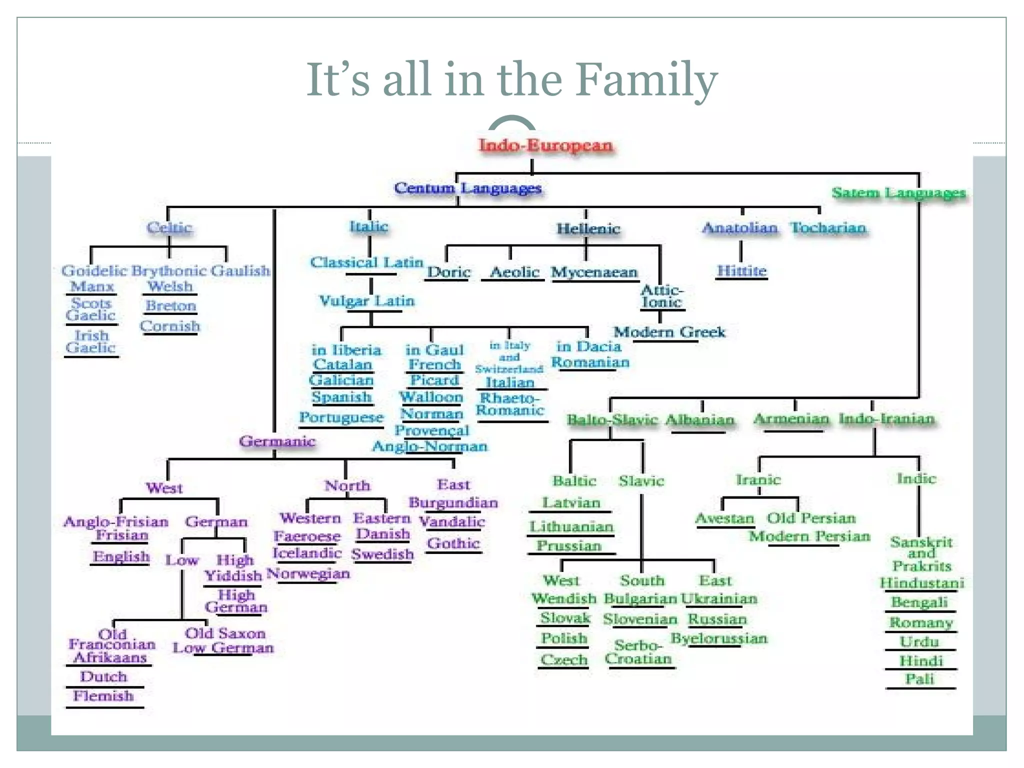 It’s all in the Family 