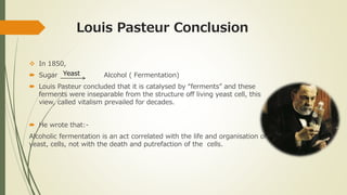 Louis Pasteur Conclusion
 In 1850,
 Sugar Alcohol ( Fermentation)
 Louis Pasteur concluded that it is catalysed by “fer...