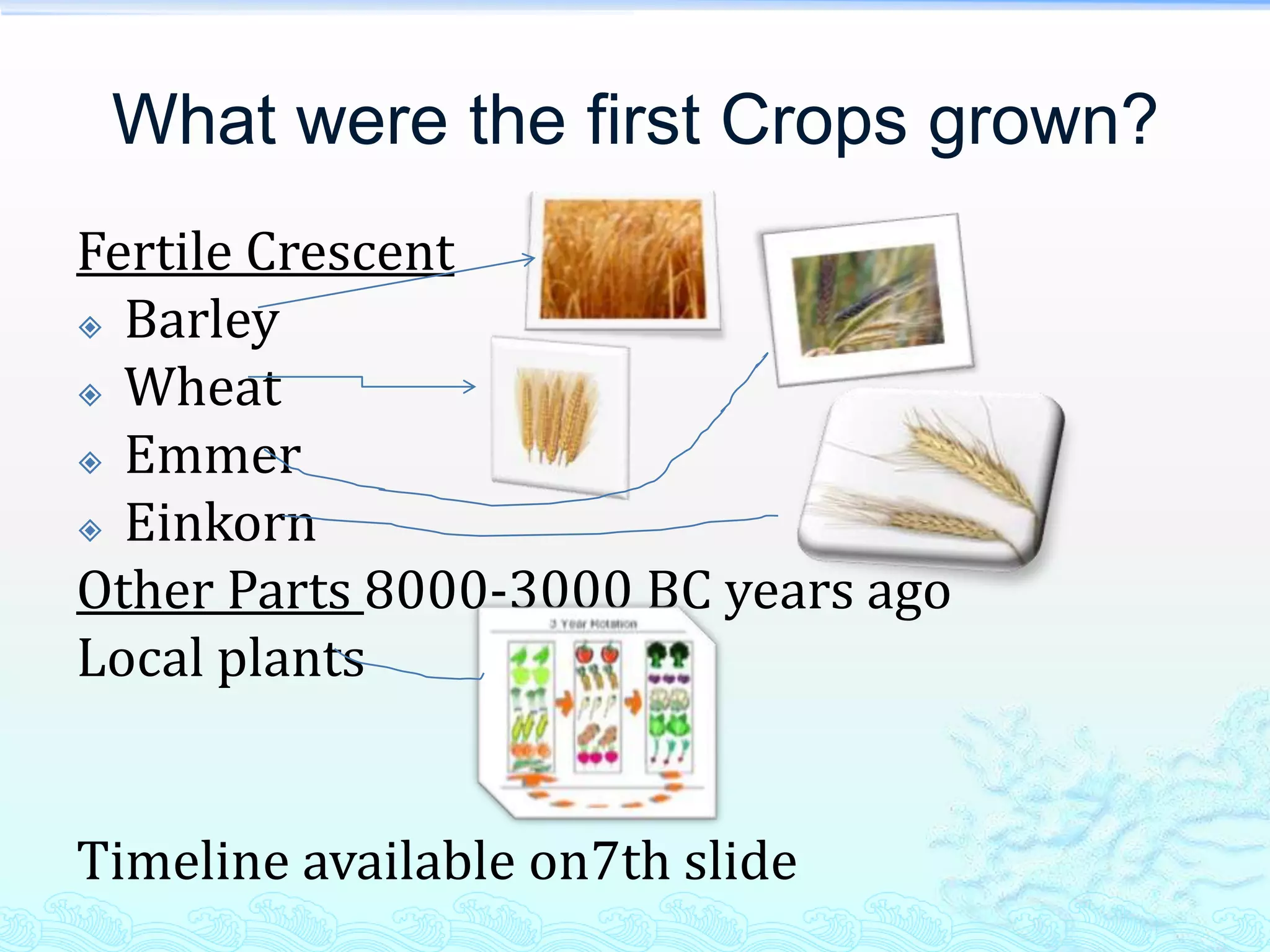 What were the first Crops grown?
Fertile Crescent
 Barley

 Wheat

 Emmer

 Einkorn

Other Parts 8000-3000 BC years ago
Local plants


Timeline available on7th slide
 