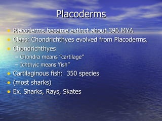 Placoderms
•   Placoderms became extinct about 396 MYA
•   Class: Chondrichthyes evolved from Placoderms.
•   Chondrichthyes
    – Chondra means ”cartilage”
    – Ichthyic means ‘fish”
• Cartilaginous fish: 350 species
• (most sharks)
• Ex. Sharks, Rays, Skates
 