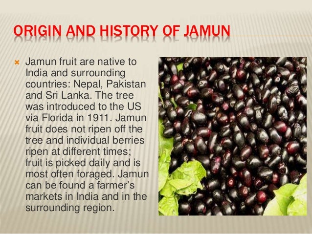 History of fruits By Allah Dad Khan