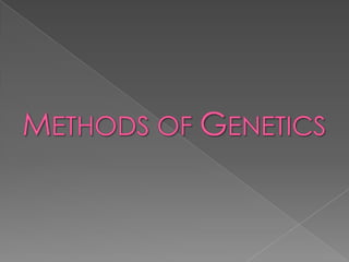 History of genetics | PPTX