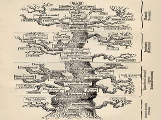 History of genetics | PPTX