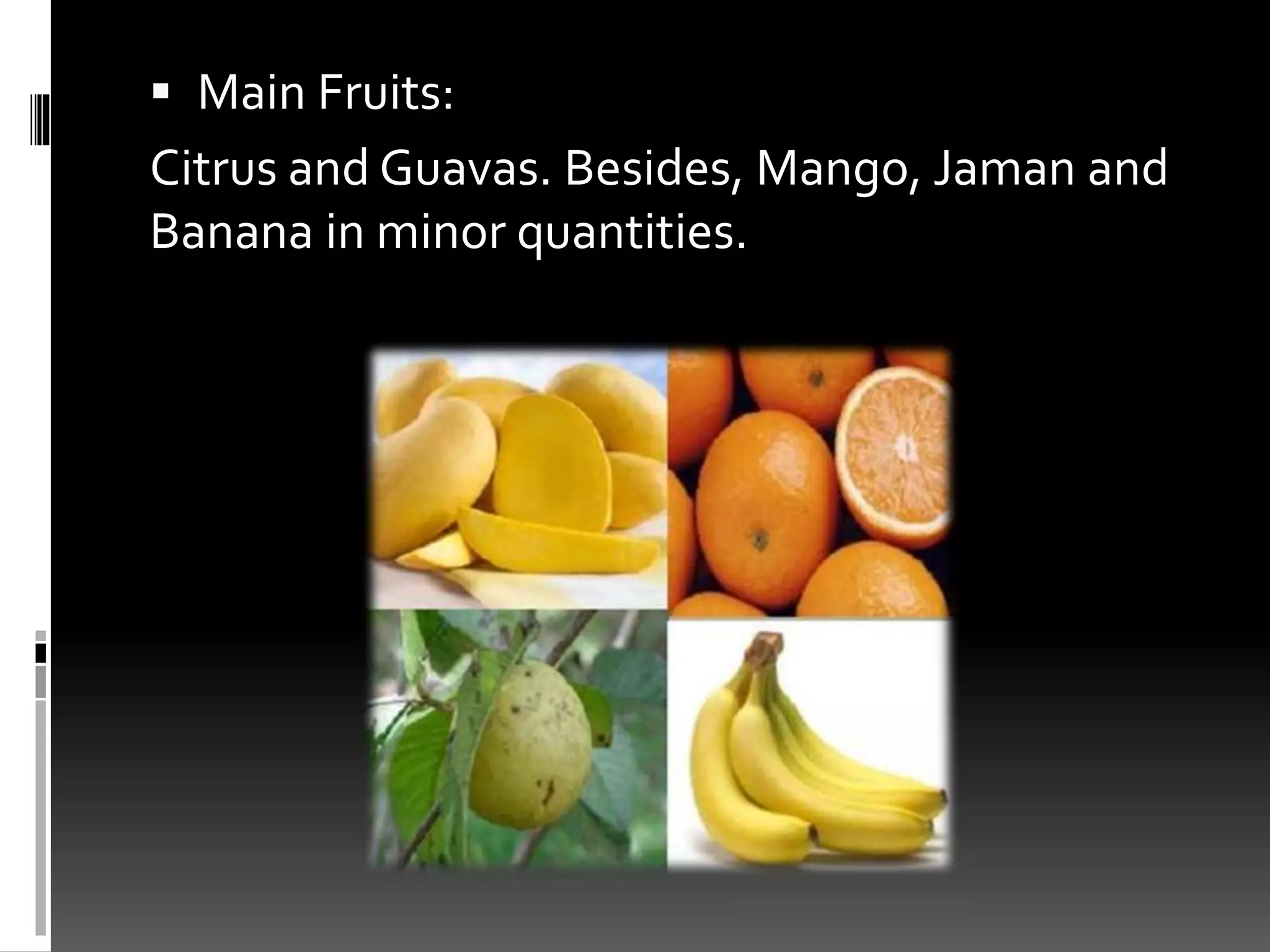  Main Fruits:
Citrus and Guavas. Besides, Mango, Jaman and
Banana in minor quantities.
 