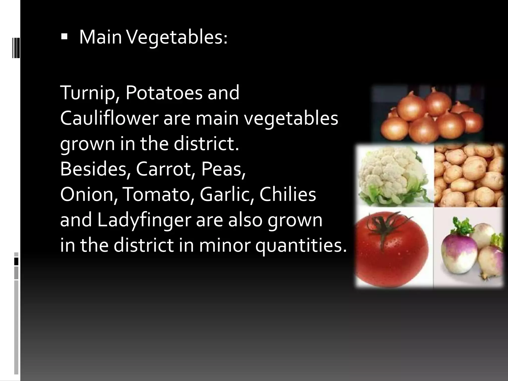  MainVegetables:
Turnip, Potatoes and
Cauliflower are main vegetables
grown in the district.
Besides, Carrot, Peas,
Onion,Tomato, Garlic, Chilies
and Ladyfinger are also grown
in the district in minor quantities.
 