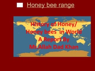 History of Honey/
Honey bees in World
A Report By
Mr.Allah Dad Khan
 