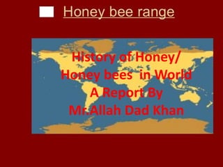 History of honey in world A Research Report By Mr Allah dad khan | PPTX