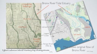 Egbert Ludovicus Viele 1874Sanitary Map showing streams
Map shows original ﬂow of
Bronx River
Bronx RiverTidal Estuary
upl...