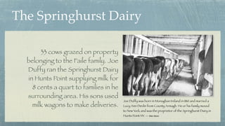 The Springhurst Dairy
Joe Duffy was born in Monaghan Ireland in 1861 and married a
Lucy Ann Devlin from County Armagh. He ...
