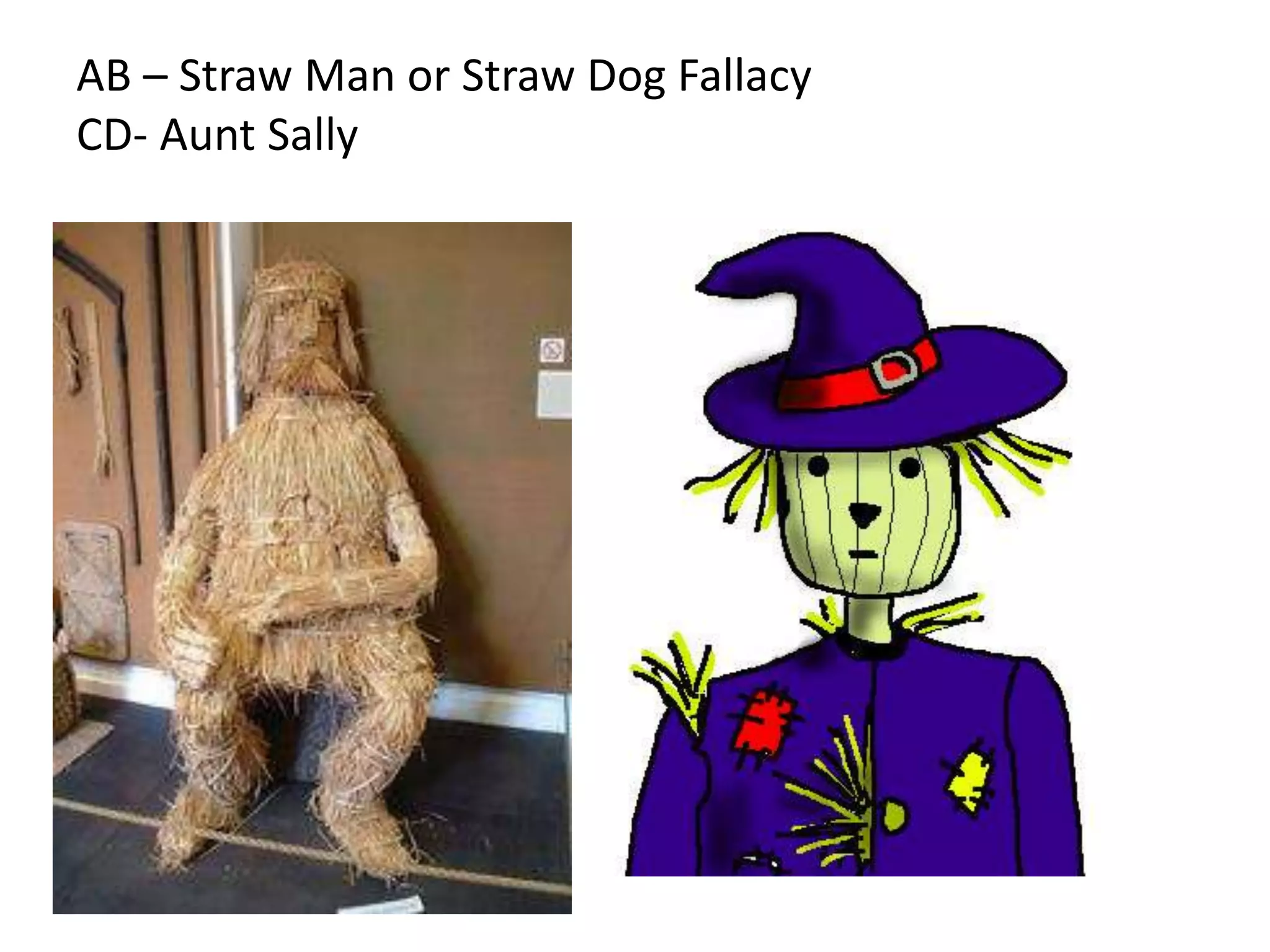 AB – Straw Man or Straw Dog Fallacy
CD- Aunt Sally
 