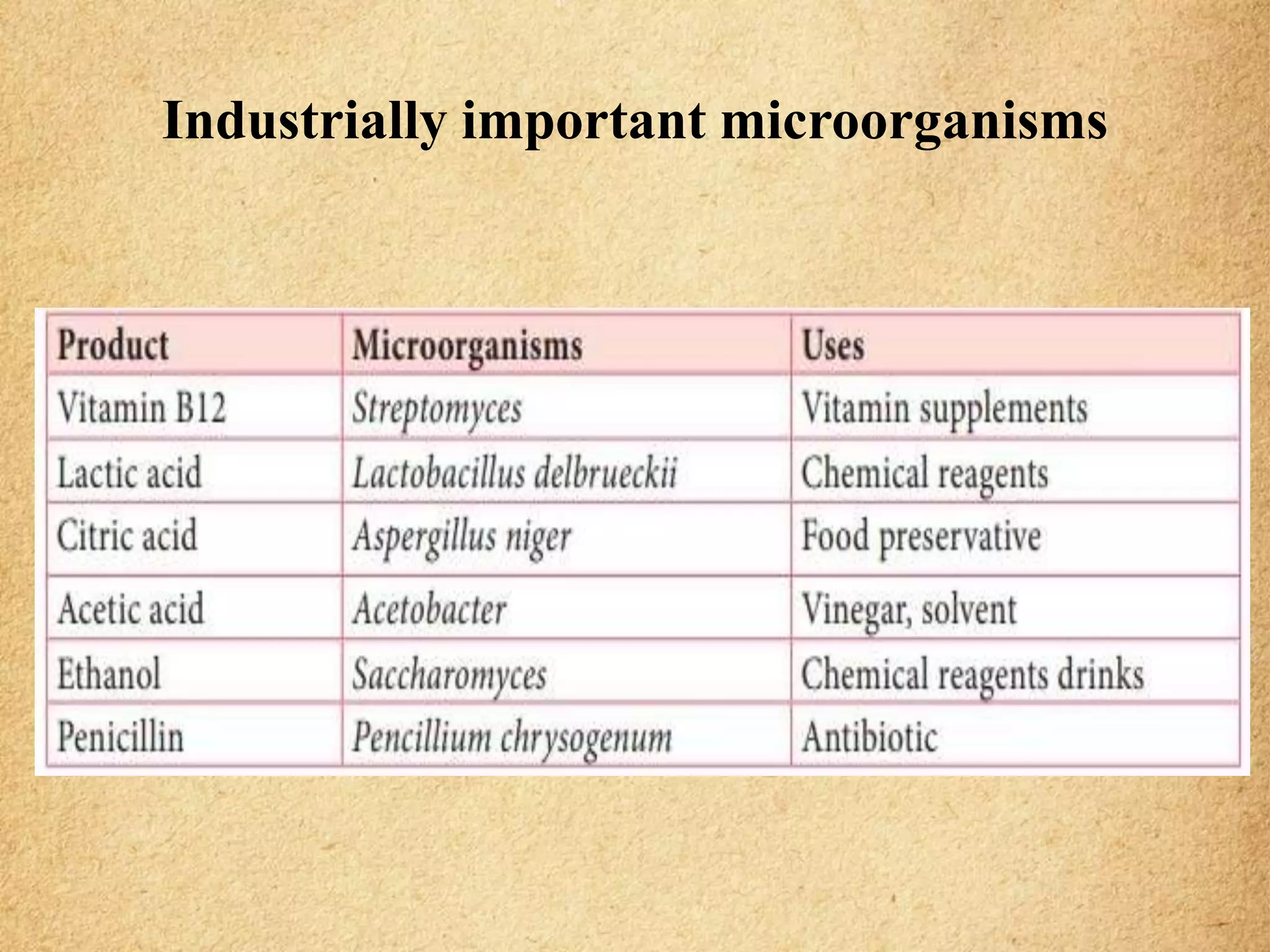 Microorganisms In Industry history of industrial microbiology.pptx