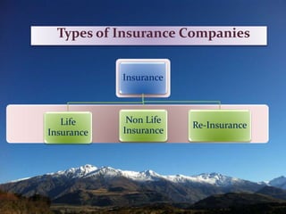 Types of Insurance Companies
Insurance
Life
Insurance
Non Life
Insurance
Re-Insurance
 
