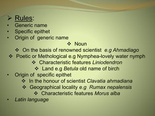  Rules:
• Generic name
• Specific epithet
• Origin of generic name
 Noun
 On the basis of renowned scientist e.g Ahmadiago
 Poetic or Methological e.g Nymphea-lovely water nymph
 Characteristic features Liniodendron
 Land e.g Betula old name of birch
• Origin of specific epithet
 In the honour of scientist Clavatia ahmadiana
 Geographical locality e.g Rumax nepalensis
 Characteristic features Morus alba
• Latin language
 