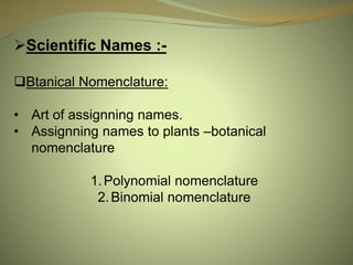 Scientific Names :-
Btanical Nomenclature:
• Art of assignning names.
• Assignning names to plants –botanical
nomenclature
1.Polynomial nomenclature
2.Binomial nomenclature
 