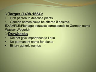 Targus (1498-1554):
• First person to describe plants.
• Generic names could be altered if desired.
EXAMPLE:Plantago aquatica corresponds to German name
Wasser Wegerich
Drawbacks
• Did not give importance to Latin
• No permanent name for plants
• Binary generic names
 