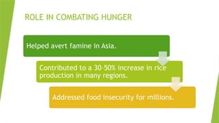 Hunger And Rice Visualisation HISTORY OF IR8 (