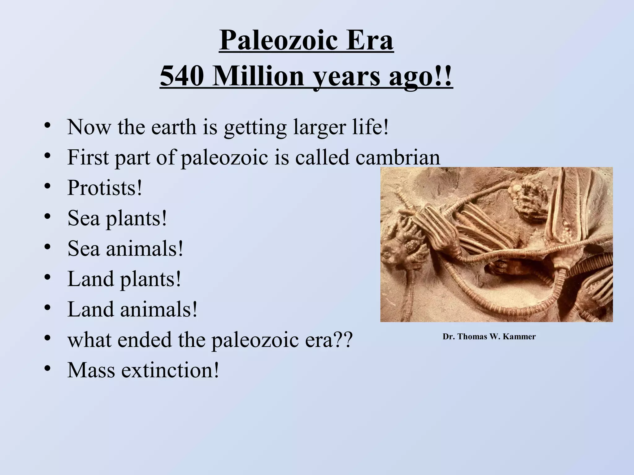Paleozoic Era
540 Million years ago!!
•
•
•
•
•
•
•
•
•

Now the earth is getting larger life!
First part of paleozoic is called cambrian
Protists!
Sea plants!
Sea animals!
Land plants!
Land animals!
what ended the paleozoic era??
Mass extinction!

Dr. Thomas W. Kammer

 