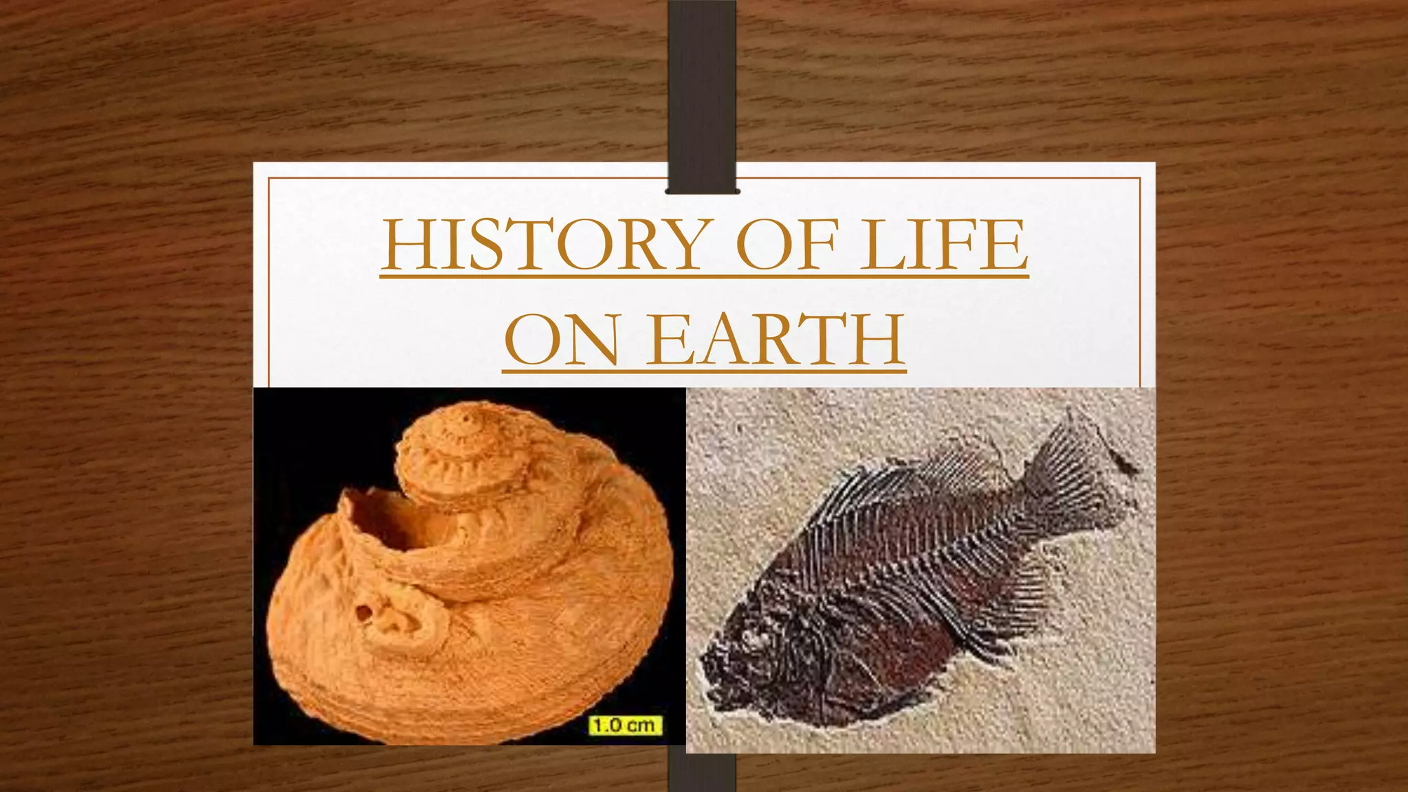 History of life on earth power point presantation | PPTX