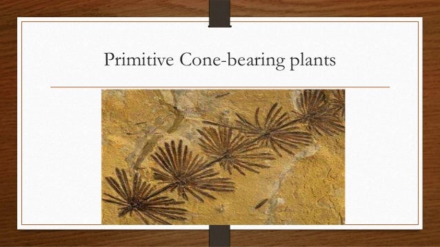 Dating site in barberton mpumalanga dating site in barberton mpumalanga