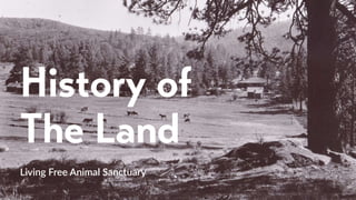 History of
The Land
Living Free Animal Sanctuary
 