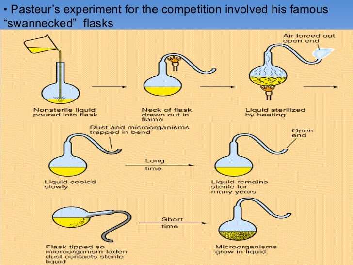 History of microbiology