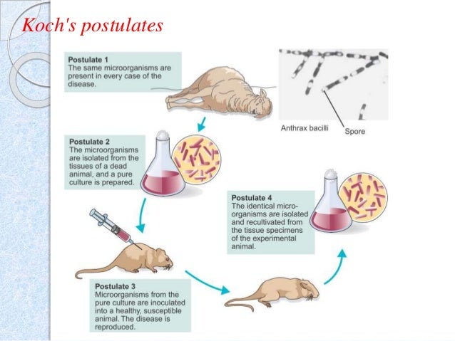 History Of Microbiology