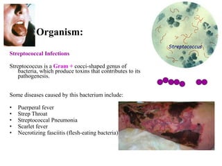 History of microbiology | PPTX