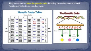 HISTORY OF MICROBIOLOGY.pptx