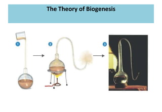 History of Microbiology-Pharmaceutical Microbiology | PPTX