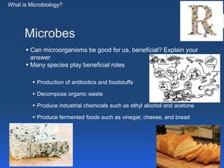 Microbes
 Many species play beneficial roles
 Production of antibiotics and foodstuffs
 Decompose organic waste
 Produ...