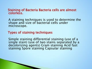 History of Microbiology CHITRA.pptx
