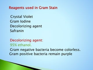 History of Microbiology CHITRA.pptx
