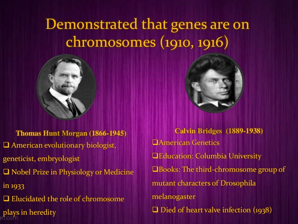 History of molecular biology