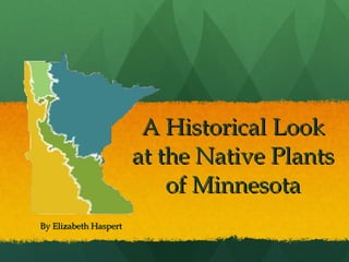 A Historical Look at the Native Plants of Minnesota By Elizabeth Haspert 