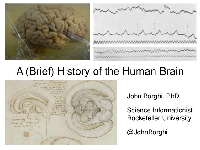 Brief History Of The Brain – A History of the Brain – RWUG