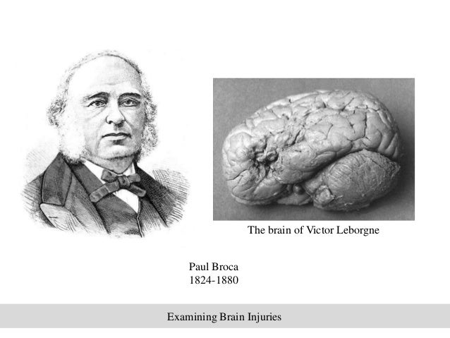 Dr. Paul N. Abeyta Case Summary